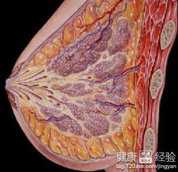 乳腺增生治疗有几大误区