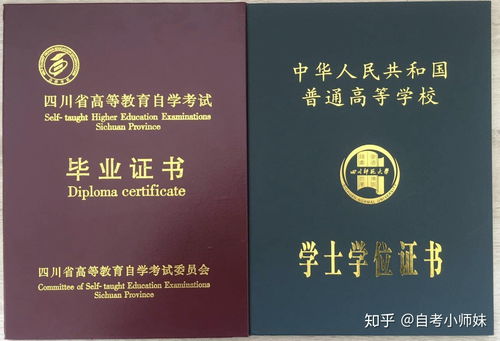 23年广州会计大自考,广东2023年自学考试都有哪些专业可以报考？