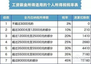 如何查询到自己每个月的缴纳的个人所得税?