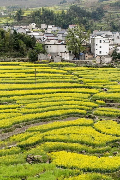 云南腾冲有什么旅游景点,秋季去哪里旅游最好云南,腾冲旅游住在哪里最好