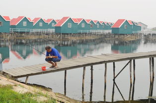 河北乐亭旅游住宿(乐亭自驾游指南乐亭自驾游一日游)