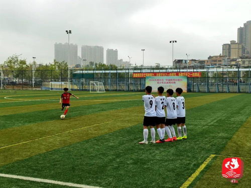 龙门县青少年足球代表队获得市青少年足球锦标赛男子甲组 乙组第一名