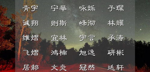 简单有气质的男宝宝名字,让人过目不忘