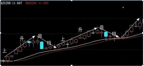 与雁荡山相关股票