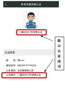 中断养老金和退休手续的注意事项有哪些？