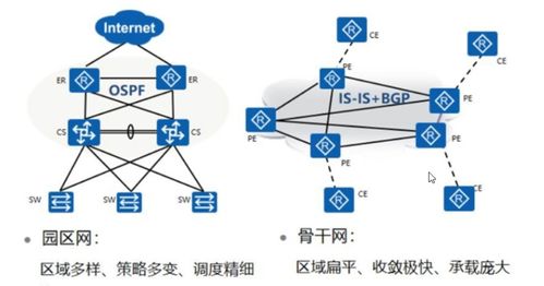 clnp网络