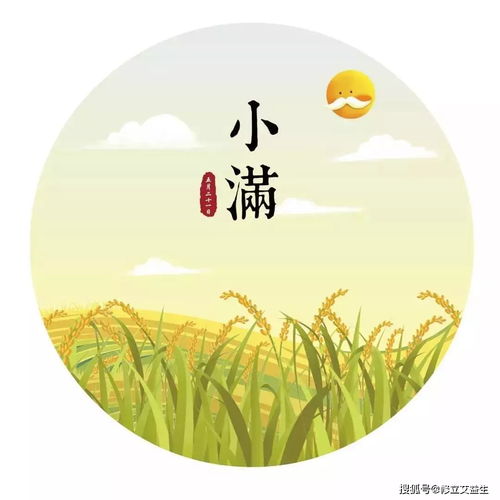 小满名字的含义是什么