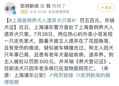 上海 饲主弃养老狗被罚500元,变老也是生命的一部分