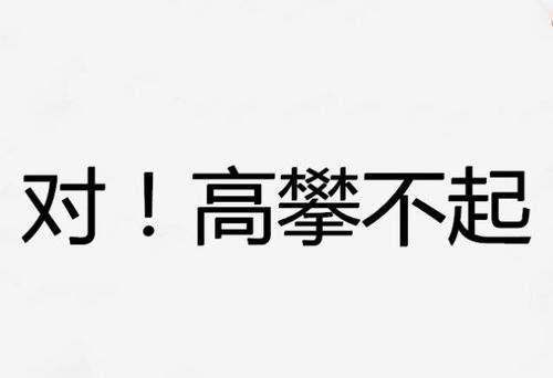 对不起中间加哪两个字最令人伤心,图一绝望,图三哭晕在厕所