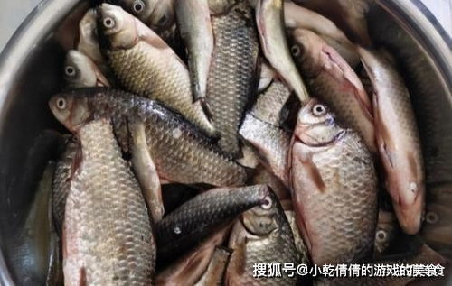 市面上 最坑 的5种鱼,多数人经常买,鱼贩子 我从不给家人吃