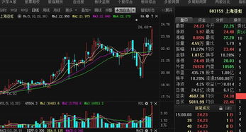  富邦股份股票代码查询系统,富邦股份股票代码查询系统——便捷掌握投资信息 天富招聘