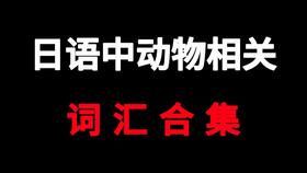 日语中与牙科相关的词汇合集