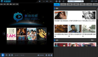 新浪播放器下载