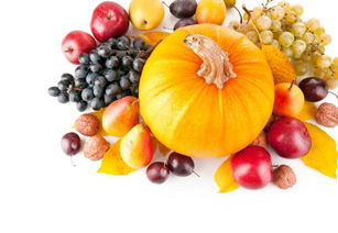 秋天的水果和蔬菜图片写几句话 