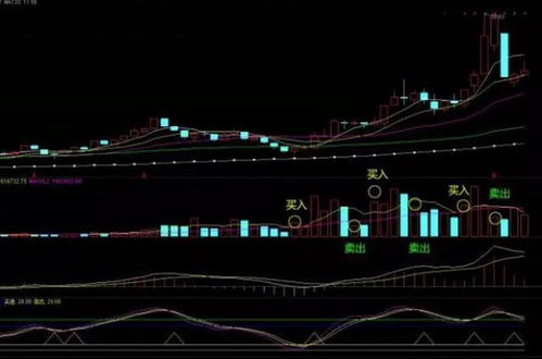 新手必看 关于移动平均线指标的入门及实战技巧,学到就是赚到