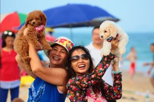 宠物旅行团正成为广州人休闲旅游新业态 