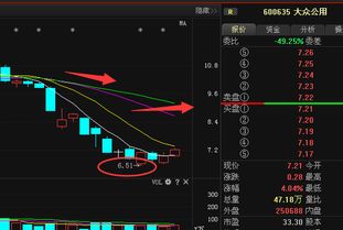 小弟想问几个关于“大众公用”股票的问题（请各位不要只给我一个网址），问题如下：