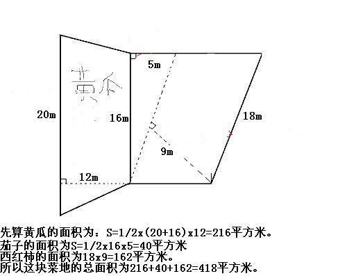 几道数学题（五年级）