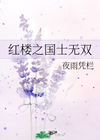 红楼之国士无双 夜雨凭栏 晋江文学城 