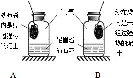 下列物质中含有氧分子的是 A.二氧化锰B.高锰酸钾C.氧化铜D.液氧 题目和参考答案 青夏教育精英家教网 