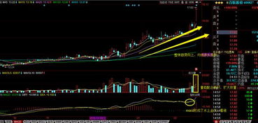 在一个公司有百分之10的股份有什么用