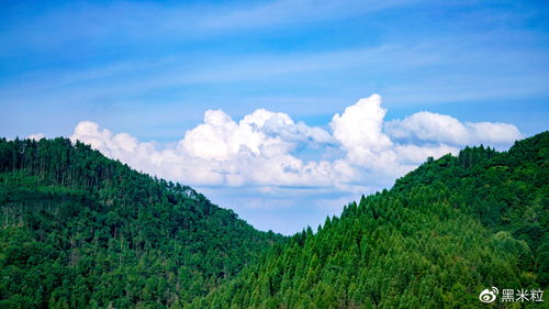 关于山高和险峻的诗句