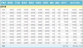 期货主力可以看到几档价格委托