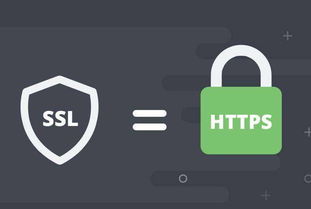 防范重要数据和公民信息泄露 SSL证书