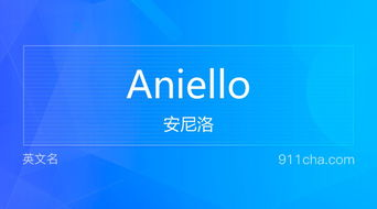 英文名Aniello 的意思 性别含义寓意及印象是什么 英文名 911查询 