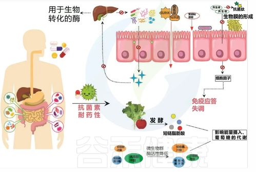 杂交技术对人体健康影响