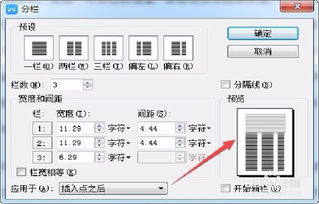 wps文件分栏选项使用