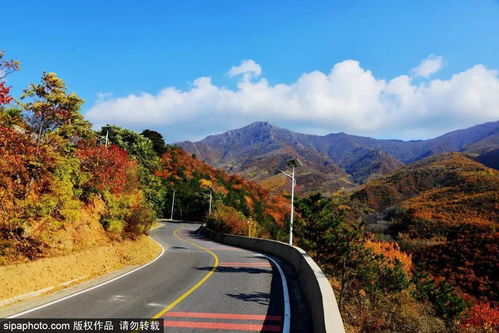 定都阁景区夜场开放时间调整 