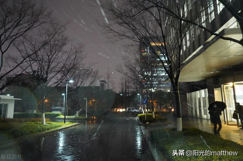 严寒潮袭来,上海城区夜间飘雪