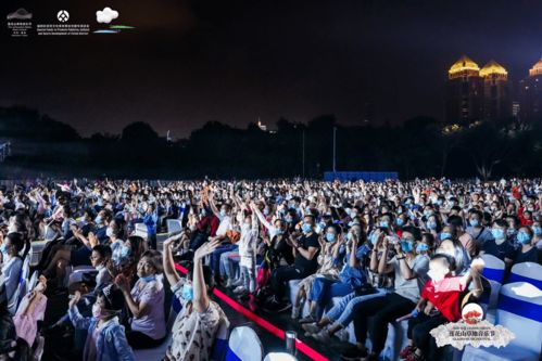 升级在即 莲花山草地音乐节座谈会顺利召开