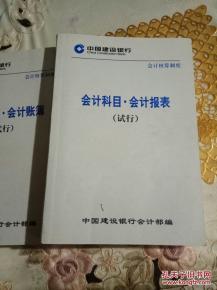 新成立公司该如何选择会计核算制度