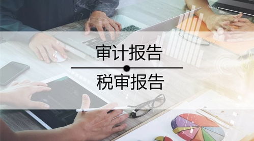 经营成果审计报告怎么写