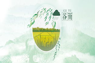 如何用英文介绍谷雨 Grain Rain 的传统文化 