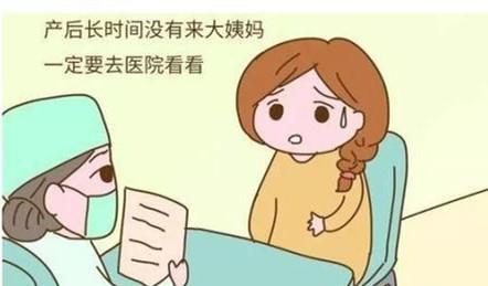 恭喜你, 产后这个时间段来月经最好, 顺产和剖腹产差别不大