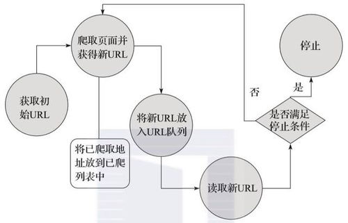 爬 网络用语,选择合适的爬虫类 爬 网络用语,选择合适的爬虫类 词条