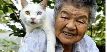 养猫对老年人有害吗 