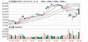 海隆控股股价上涨14%