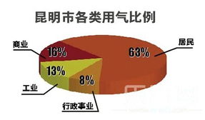 昆明煤气涨5毛 听证代表全同意 