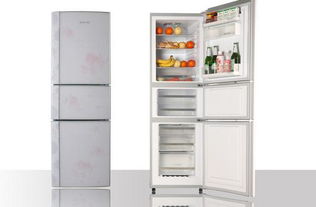 保养冰箱的方法 定期清洁冰箱内部 