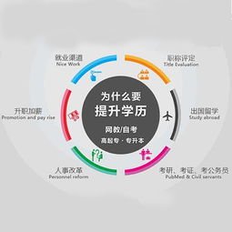 山东提升学历报名条件,山东提升学历的可靠机构