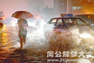 梦见暴雨打伞是什么意思 梦到暴雨打伞好不好 大鱼解梦网 