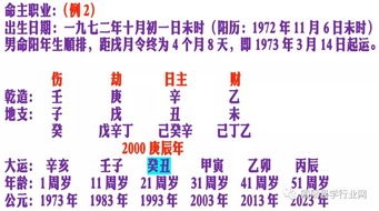 命局 大运 流年的应用