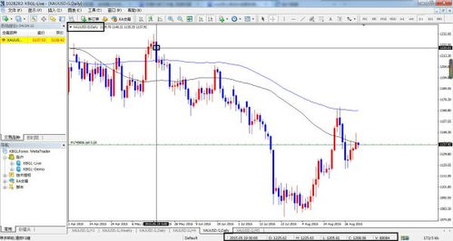 如何通过MT4平台调看美元指数的K线图？