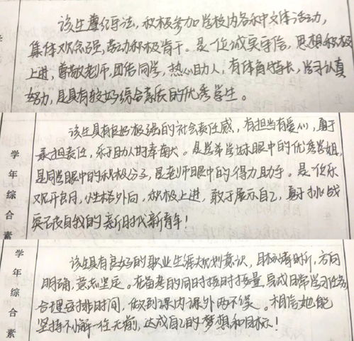 大学生评语(大学生在校表现评语)