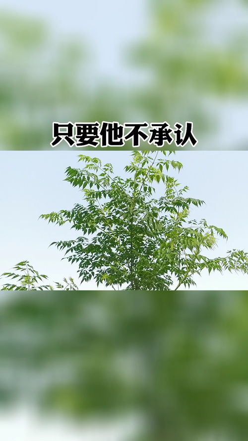 如何修复老婆感情