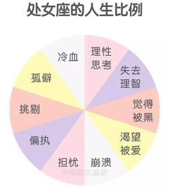 神准 12星座的人生比例图 